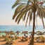 Flyg billigt till Alicante (ALC) - Spanien