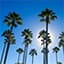 Flyg billigt till Fort Lauderdale-Florida (FLL) - USA