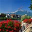 Fly cheap to Grenoble (GNB) - France
