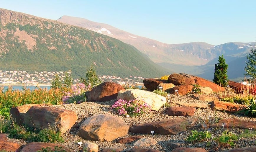Top-10-Gardens-Arctic-Alpine-Botanical-872x872-kongharald.jpg