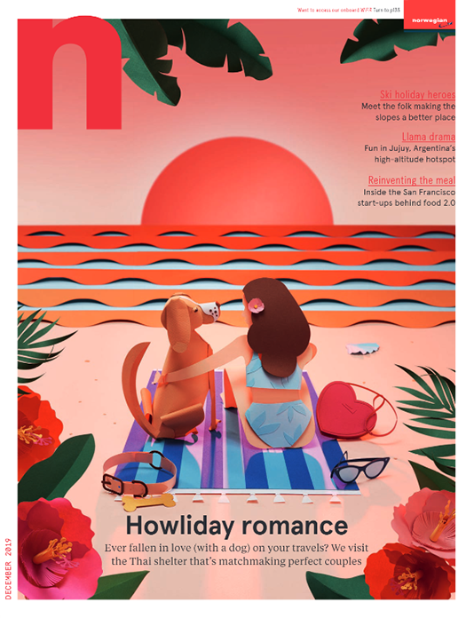 N Magazine December Issue 2019