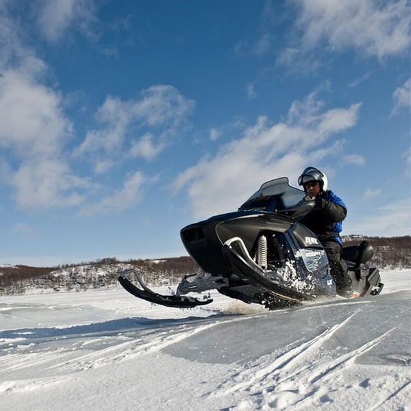 People on snowmobiles
