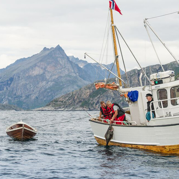 "Fishermen out fishing in Tromsø"