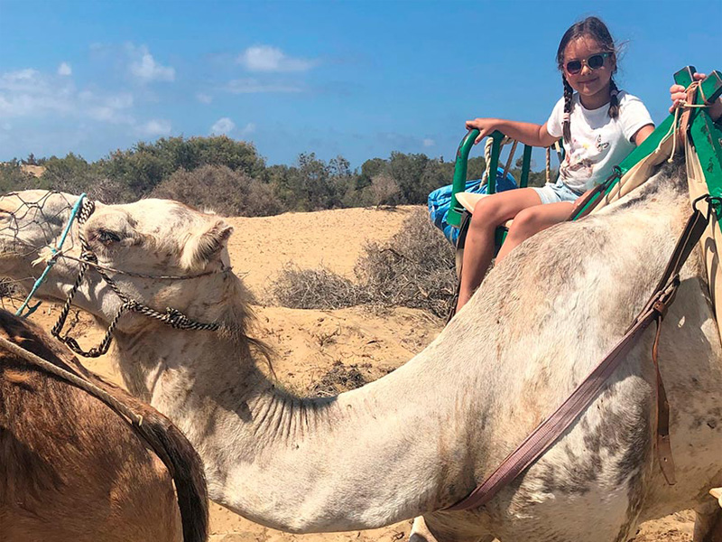 Flicka som rider kamel i en öken