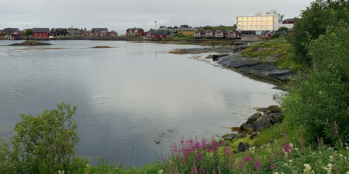 Rorbuer og en stor hvit bygning i vannkanten med blomstring