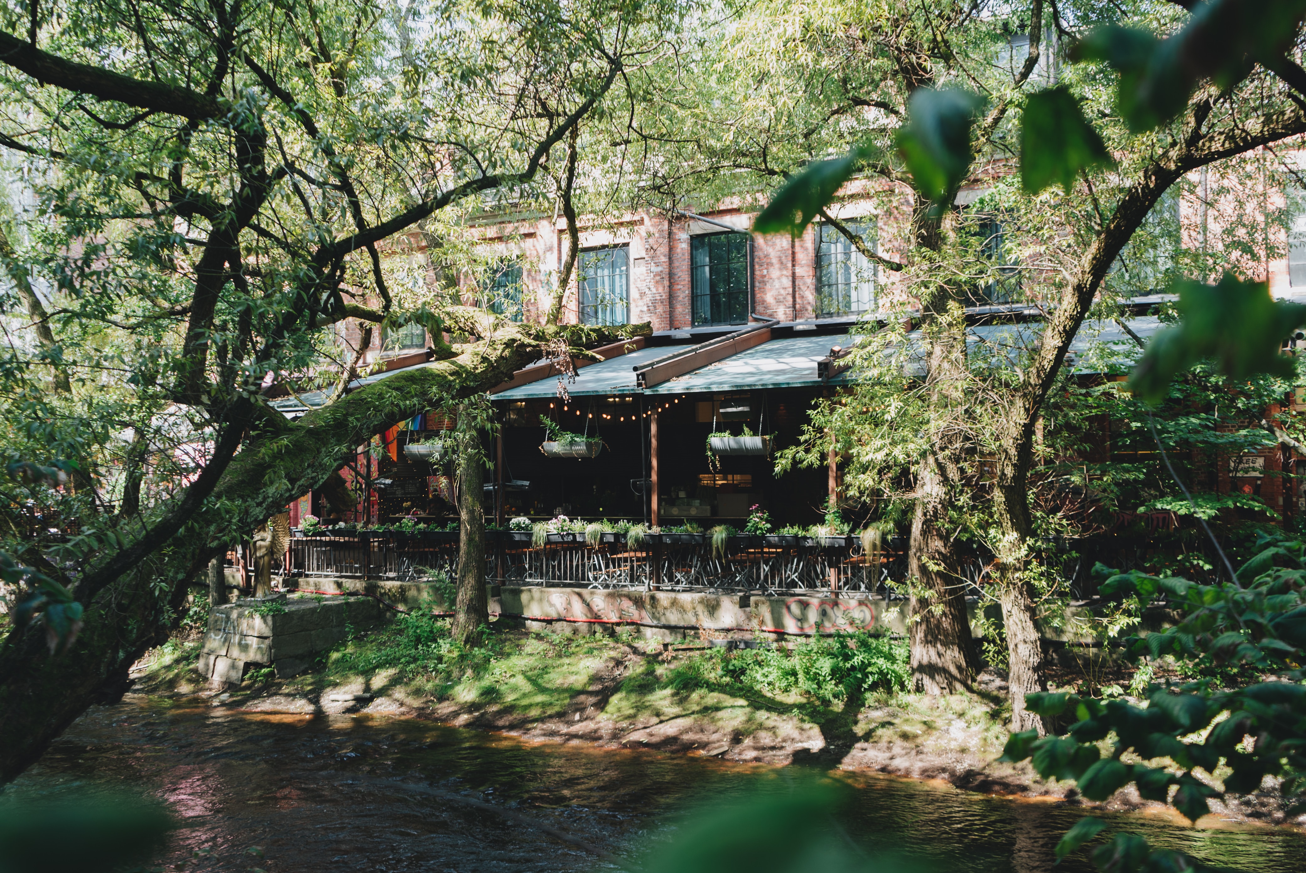 Brick houses behind green trees bathed in sunshine. A green river flows by in the foreground.