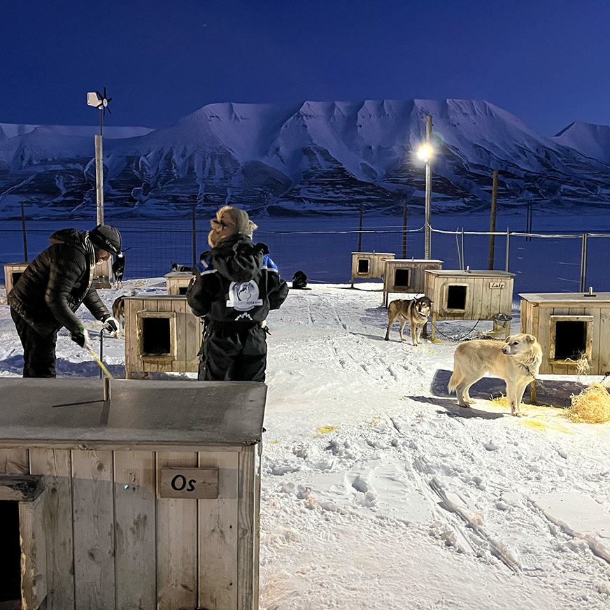 En utendørs hundegård i et snødekket landskap