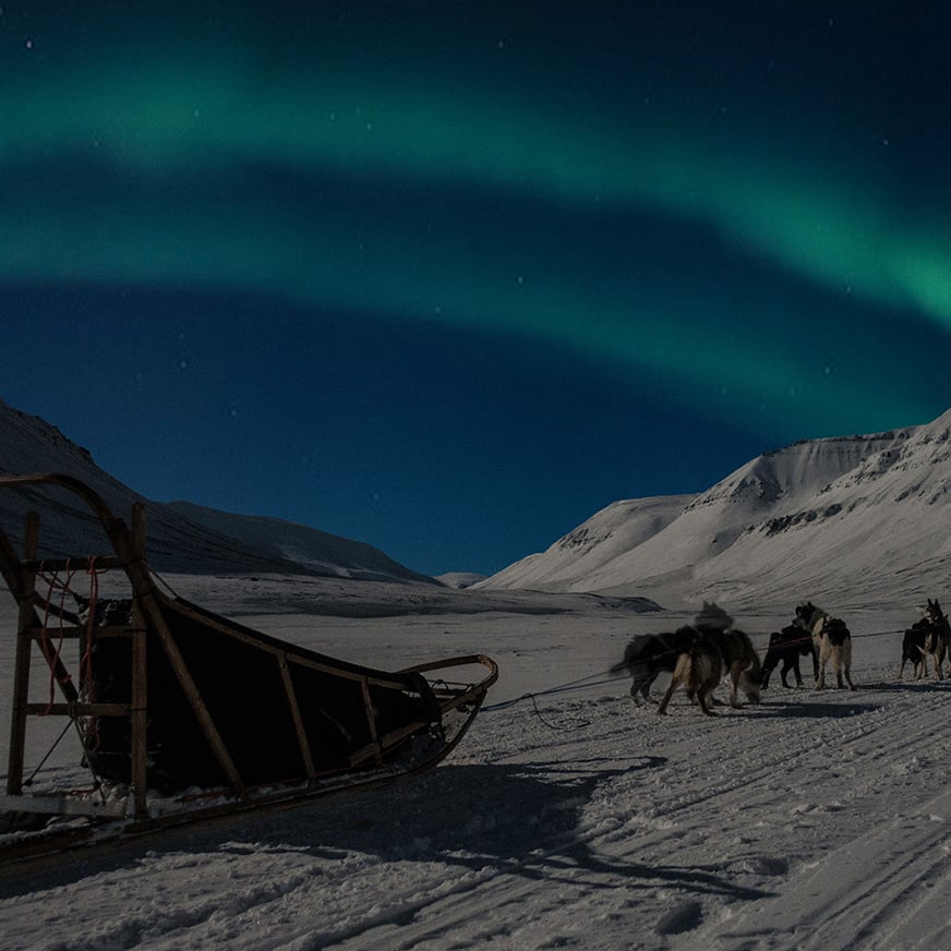 Huskyer og en hundeslede i et snøkledd landskap under nordlyset
