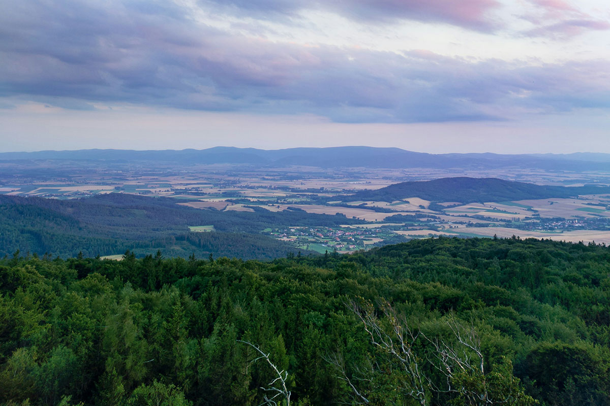 Et landskap med dalsider, skog og åkre sett ovenfra 