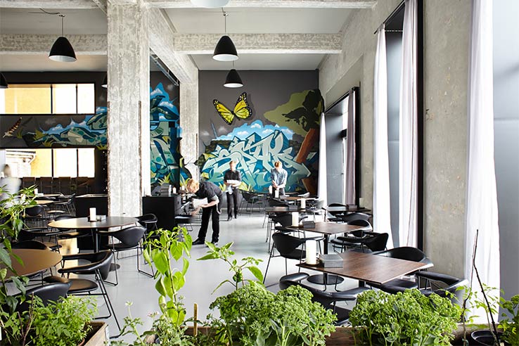 Fly to Copenhagen, dine at Amass.