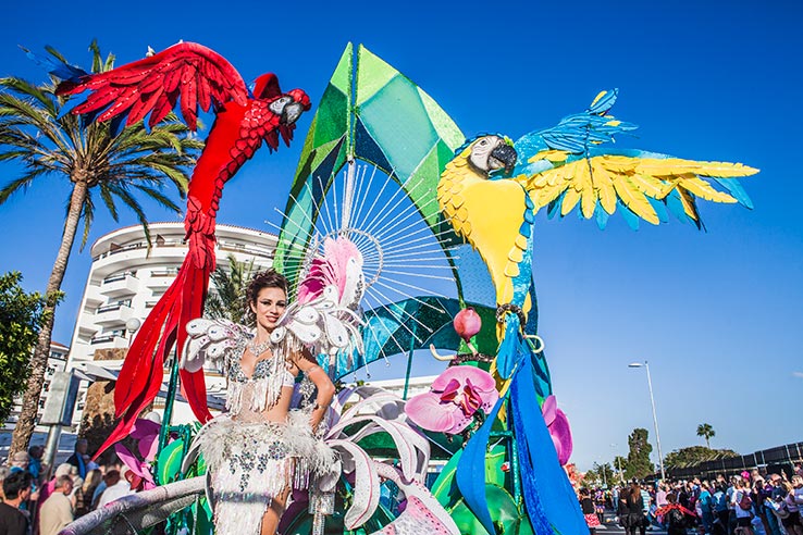 Vola a Gran Canaria in gennaio o febbraio e partecipa al carnevale.
