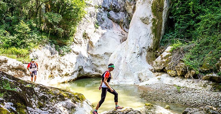 Aktiviteetit, Istria