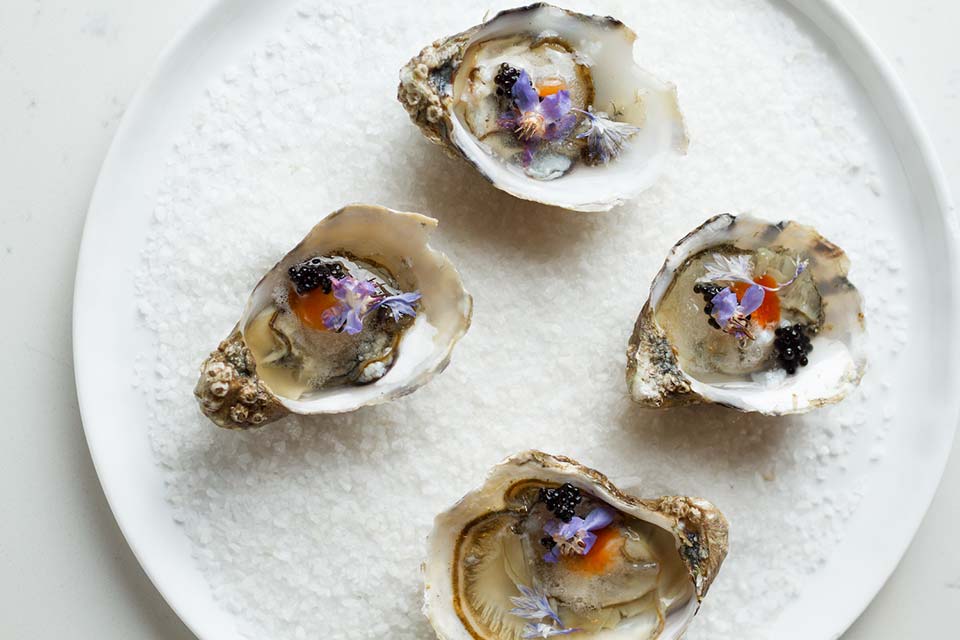 Fly to Seattle, get fresh seafood at Taylor Shellfish Oyster Bar.